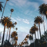 Beverly-Hills-California-Relocation-Guide