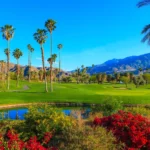 Palm-Springs-California-Relocation-Guide